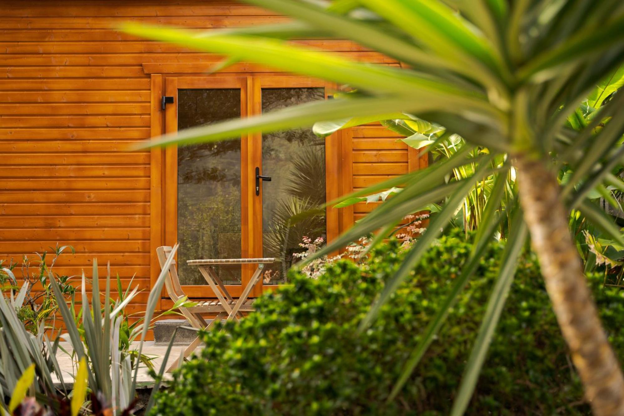 Madeira Surf Lodge São Vicente Eksteriør billede